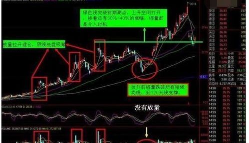 股票如何知道庄家拉升 股票如何知道庄家拉升
