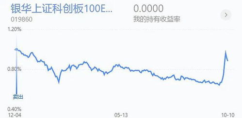 大量加仓证券怎么做的