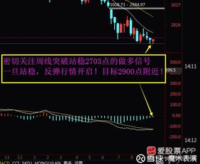 大盘下跌如何选个股股票