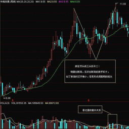 股票如何看新高 股票如何看新高
