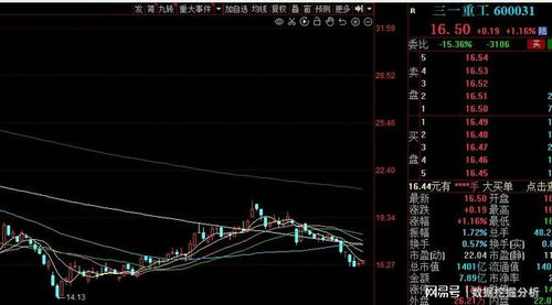 股民如何查股票市值