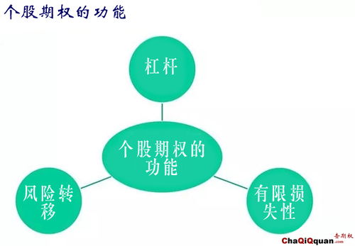股票期权如何选