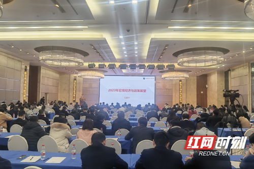 怎么能进证券协会工作