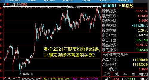 宏观股票分析如何