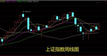 我的股票如何开户