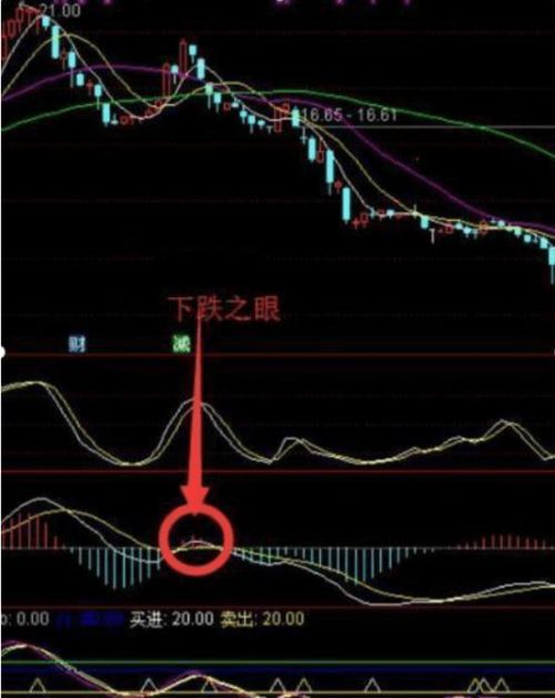 如何诊断股票上涨或下跌