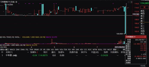 证券软件里怎么看etf