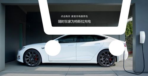 如何买到Tesla股票