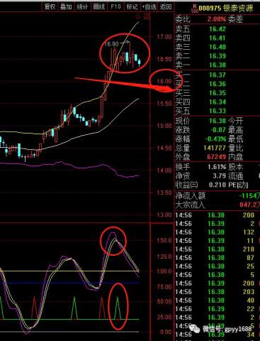 股票如何成为龙头股东 股票如何成为龙头股东