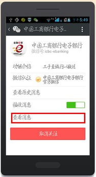怎么查看证券开户行
