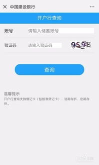 怎么查看证券开户行
