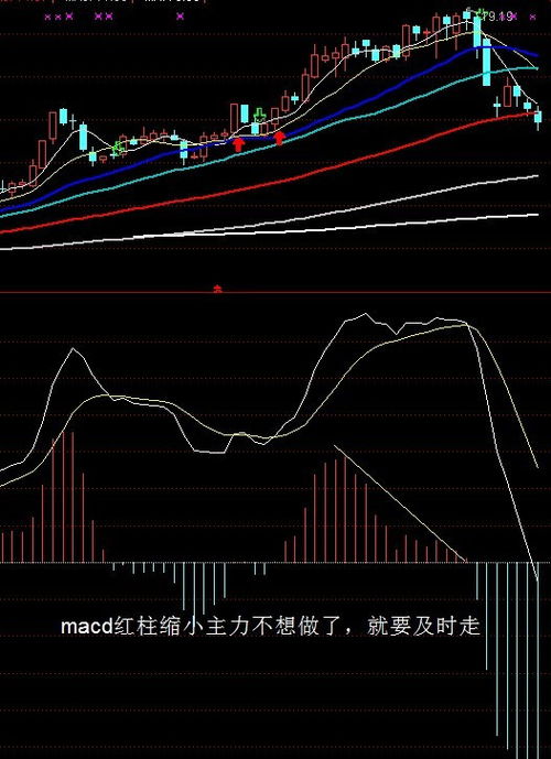 如何看股票能否持有股票