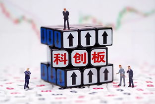 科创板如何参与股票交易
