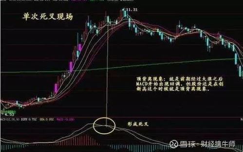 股票如何斩仓