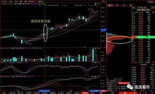 股票整理后市如何 股票整理后市如何