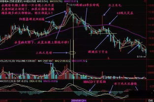 中国人如何买中概股票