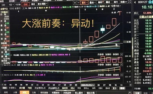 如何看股票被监管多久 如何看股票被监管多久