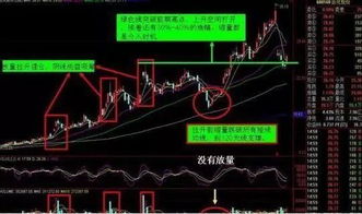 如何做一个股票筛选