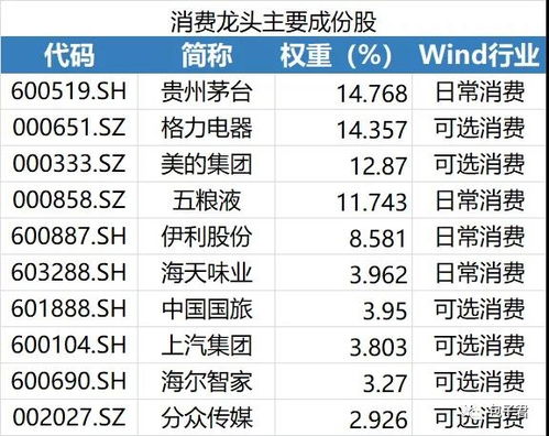 消费证券怎么投放
