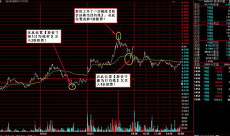 如何看到一个行业的股票