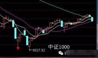 如何看到一个行业的股票