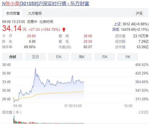 张小泉股票如何