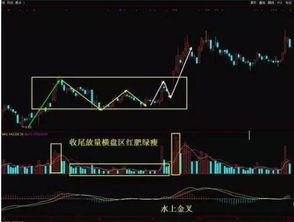 国外股票最后行情如何