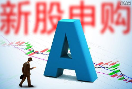 如何申购上交所股票新股