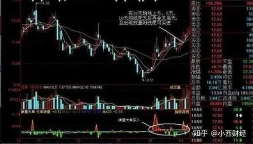 未来股票如何投资买入
