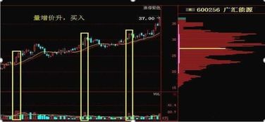 股票挖坑如何确定