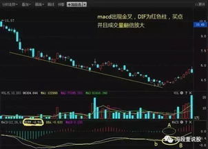 如何看股票持有多少股票
