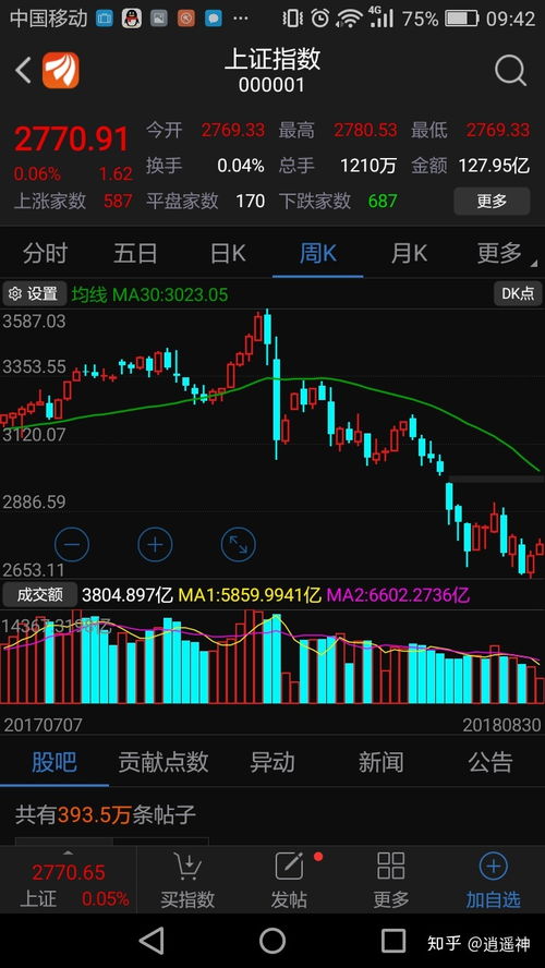 如何看股票持有多少股票