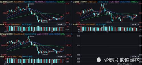 如何选到投资的股票呢