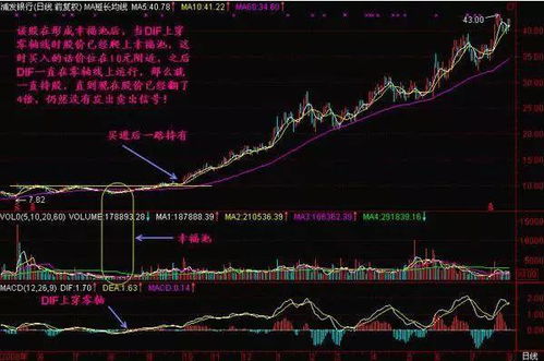 股票如何添加文字图片