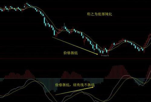 如何看一只股票基本面