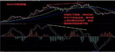 如何选择股票和股票买卖