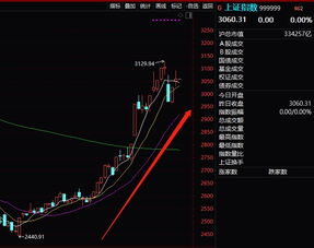 如何加入杠杆股票 如何加入杠杆股票