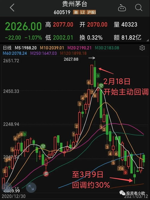 2021股票市场会如何