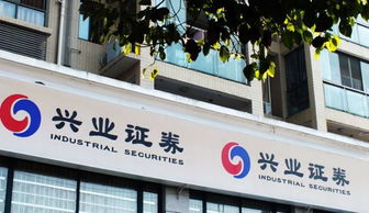 兴业证券怎么用 兴业证券怎么用