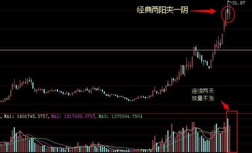 如何来运用股票中术语 如何来运用股票中术语