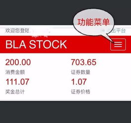 黑石通汇证券怎么样 黑石通汇证券怎么样
