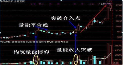 如何确定股票会跌停