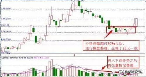 不同类型股票如何交易 不同类型股票如何交易
