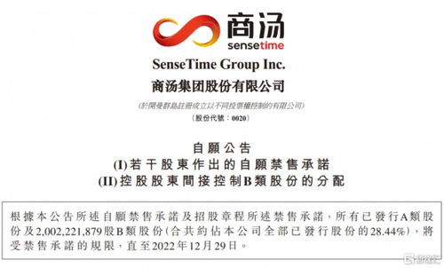 股票如何锁券