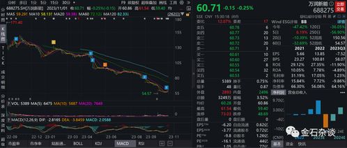 证券代码怎么看股票市值