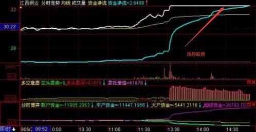 股票每天如何交易