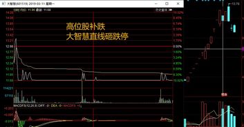 股东如何修改股票