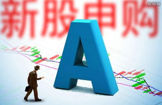 新股票如何申购.