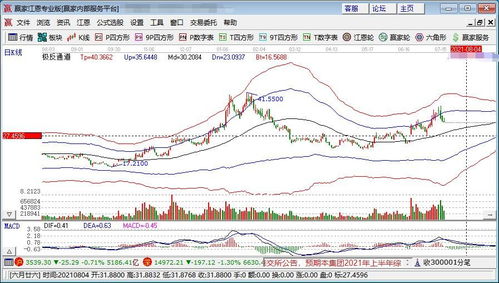 公司上市股票如何形成的