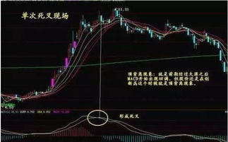 如何防止股票自动升级